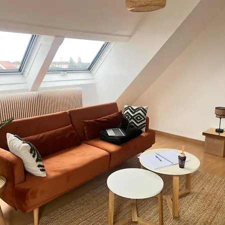 Apartment Balneo, Lumineux, Confort Colmar