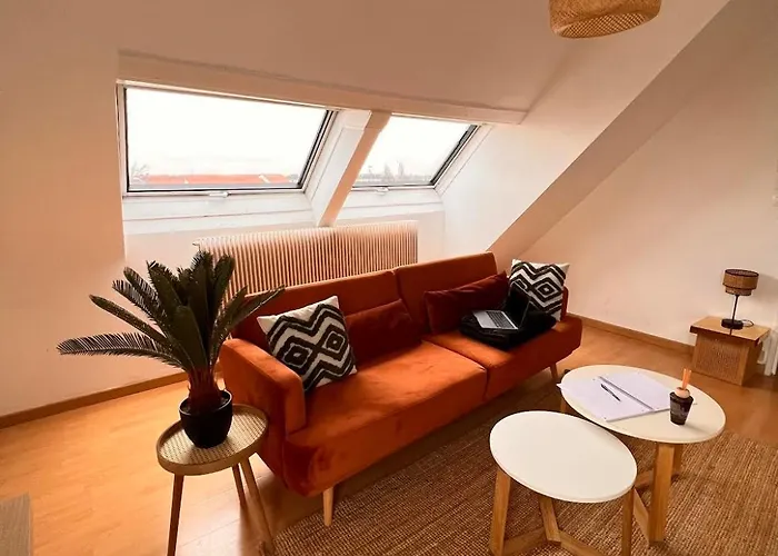 Balneo, Lumineux, Confort * 科尔马