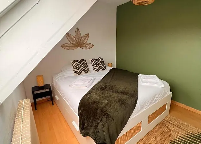 公寓 Balneo, Lumineux, Confort 科尔马