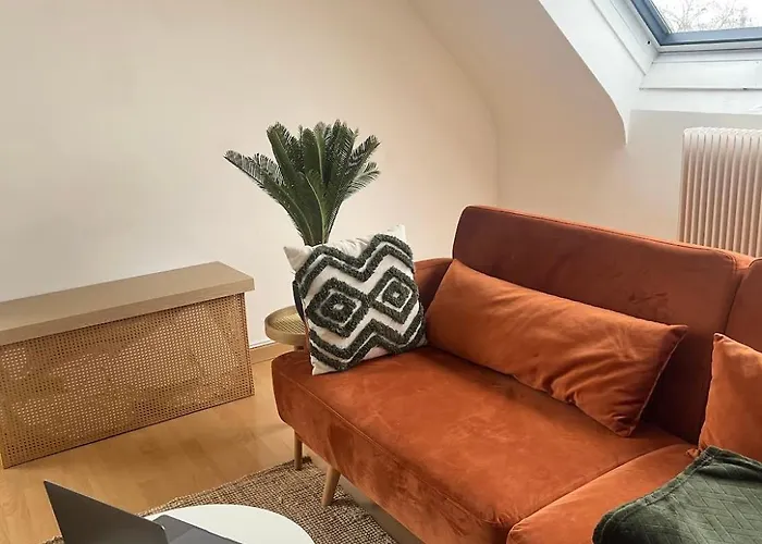 公寓 Balneo, Lumineux, Confort 科尔马