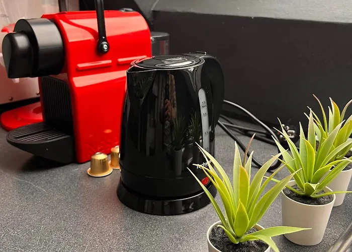 Balneo, Lumineux, Confort 公寓 科尔马